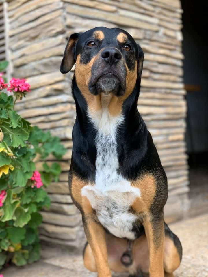 Imagen de publicación